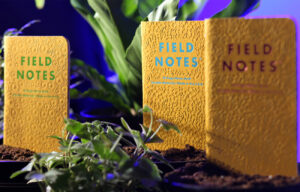Field Notes, Signs of Spring, im Garten, 3er-Set,