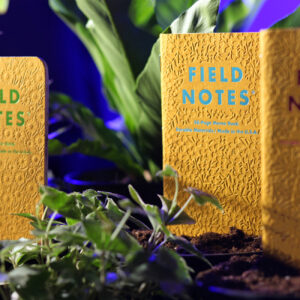 Field Notes, Signs of Spring Edition, 3er-Set, im Garten,