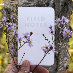 Field Notes, Birch Bark, Notizhefte, weiß