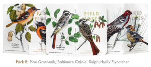 Birds and Trees of North America, Pack B