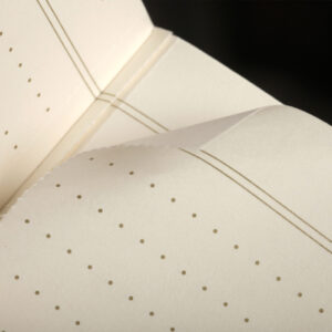 Field Notes Vintage Edition, Innenseiten zum heraustrennen