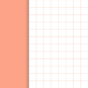 BON IVER Notebooks, karierte Hefte, lachsfarben