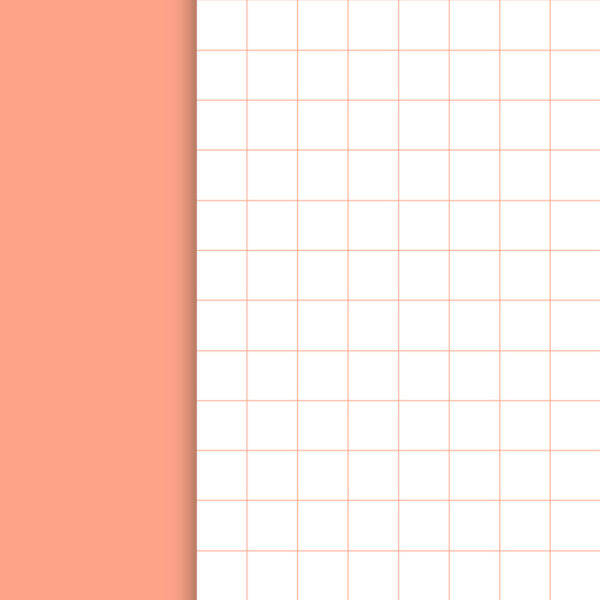 BON IVER Notebooks, karierte Hefte, lachsfarben