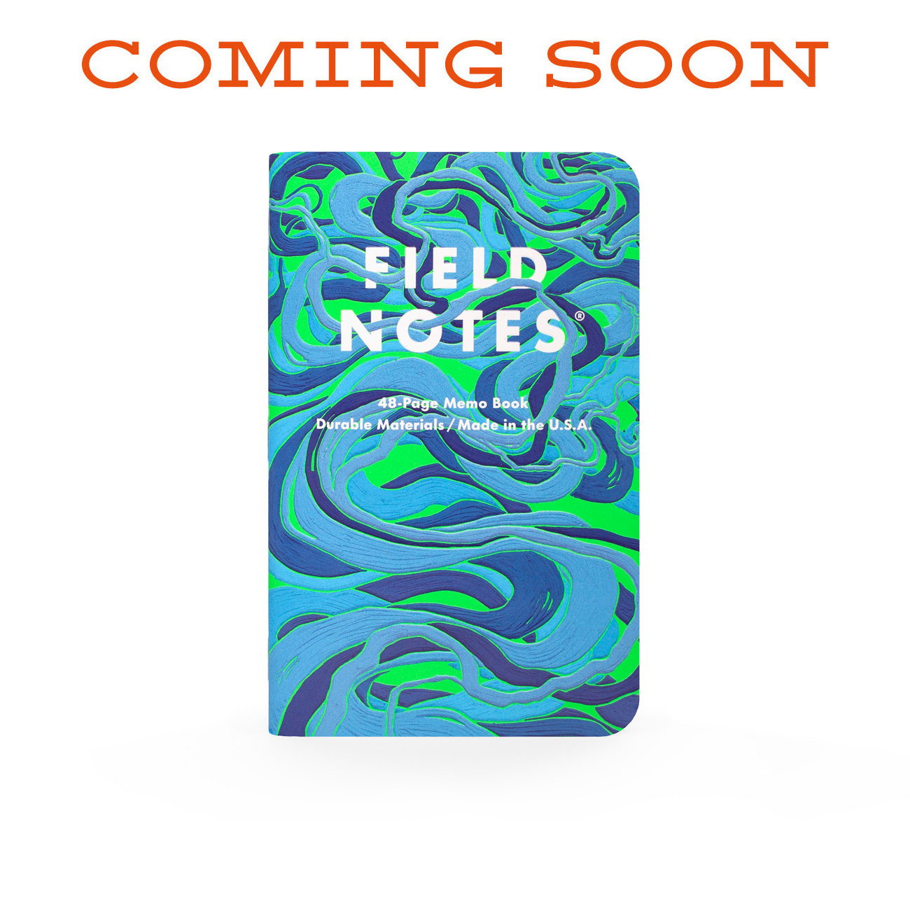 FIELD NOTES – IS A RIVER ALIVE?