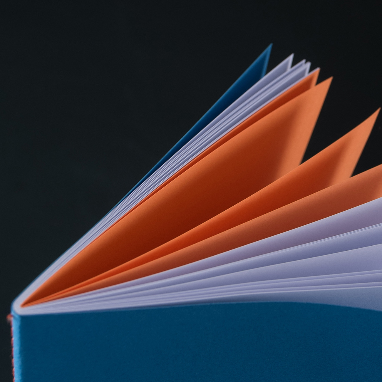 LE TYPOGRAPHE – Notizheft BLAU quer