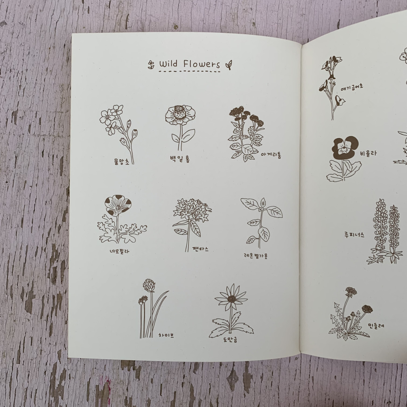 Ecobridge - My Plant Diary