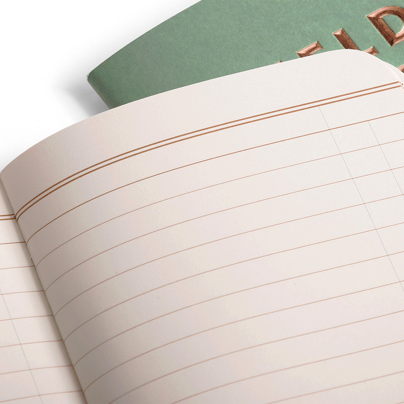 FIELD NOTES – LUCKY