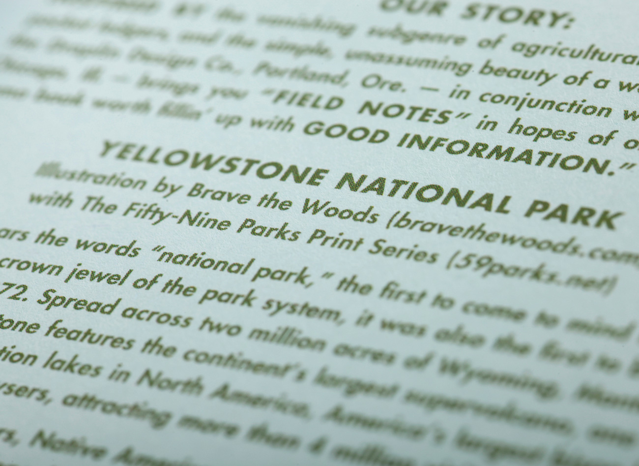 Detail, Field Notes, National Parks Edition, 2019